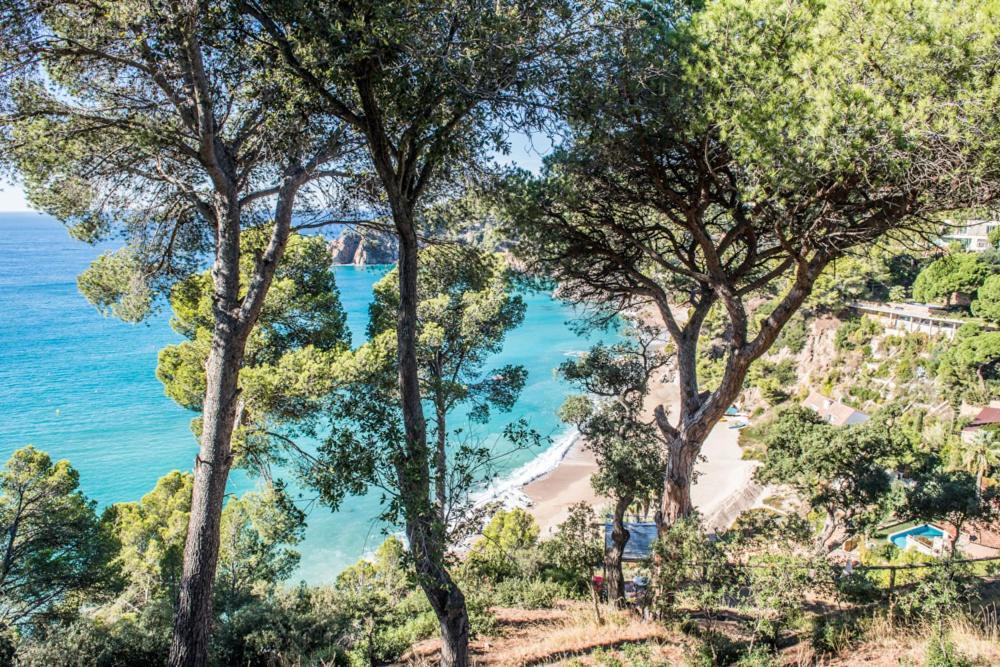 滨海托萨 Camping Sunissim Cala Llevado 4 By Locatour酒店 外观 照片